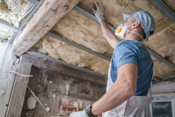 Best Spray Foam Insulation in Glenmont, MD